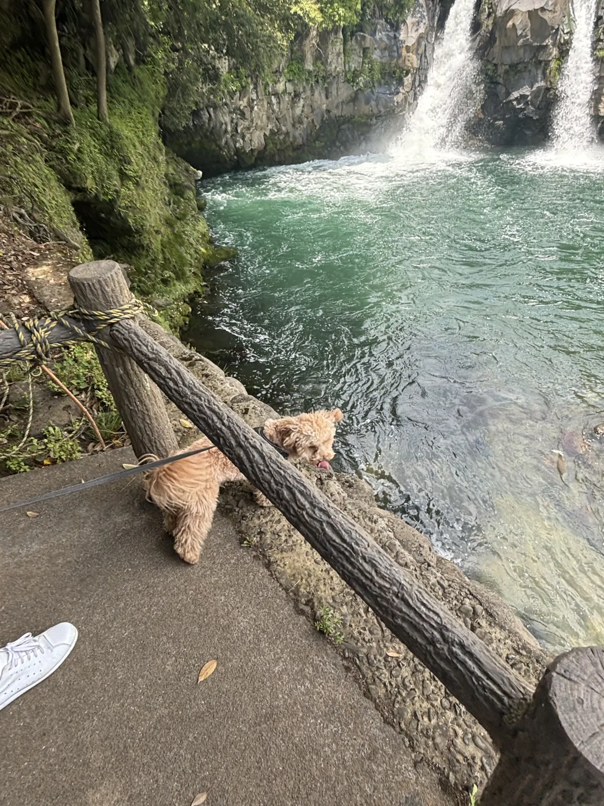 写真3