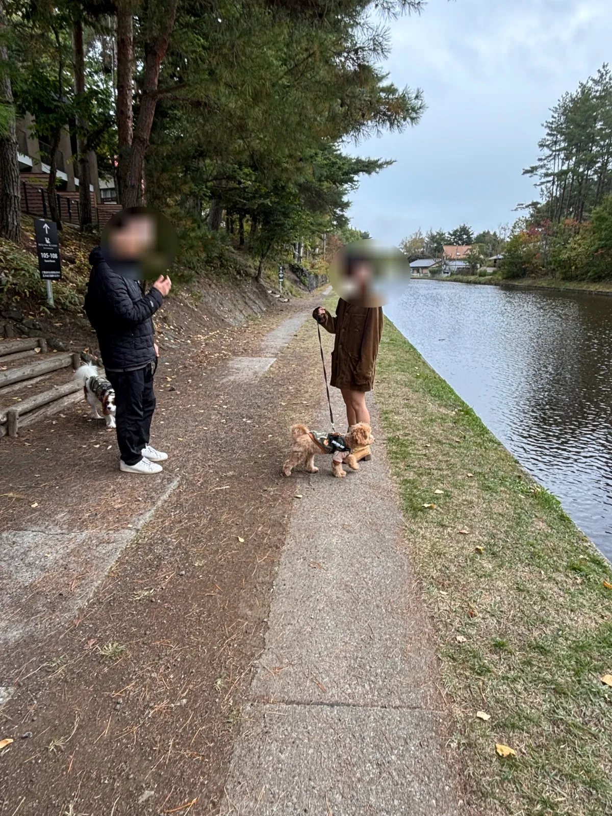 写真3