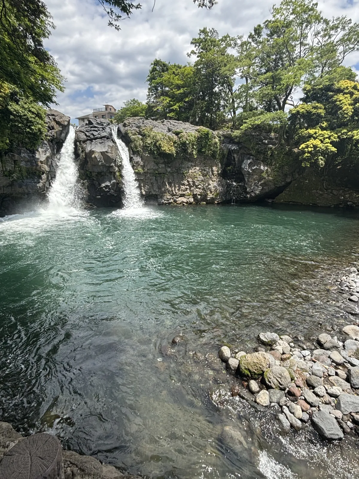 写真1