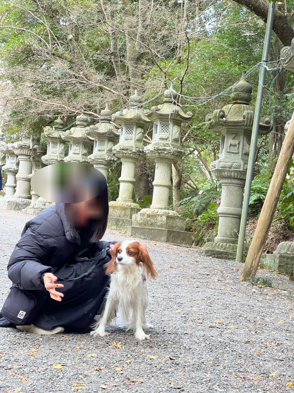 写真3