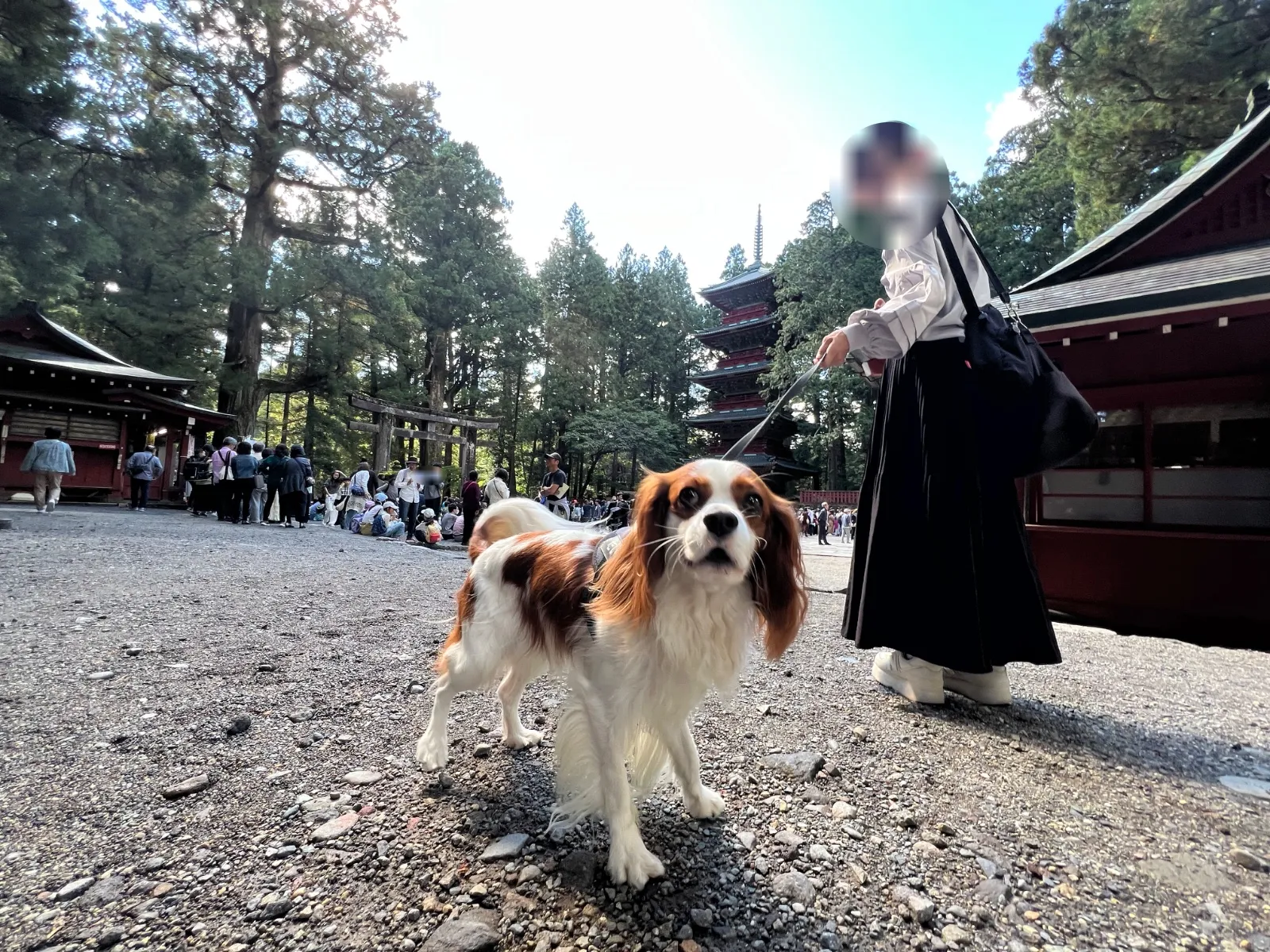 写真3