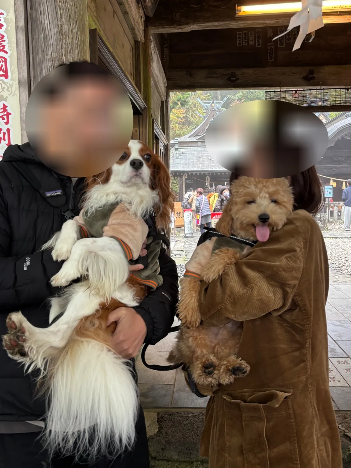 写真1