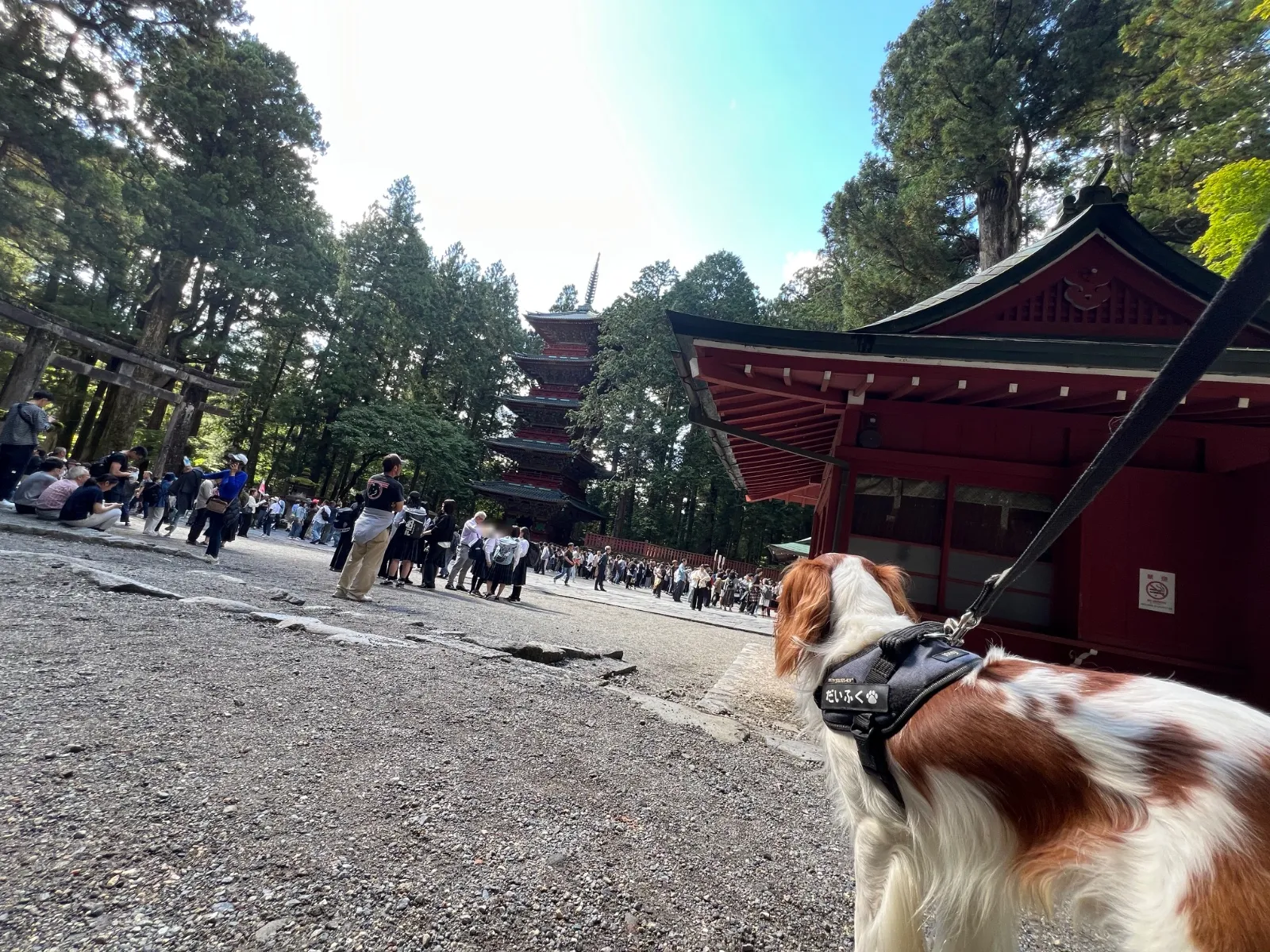 写真2