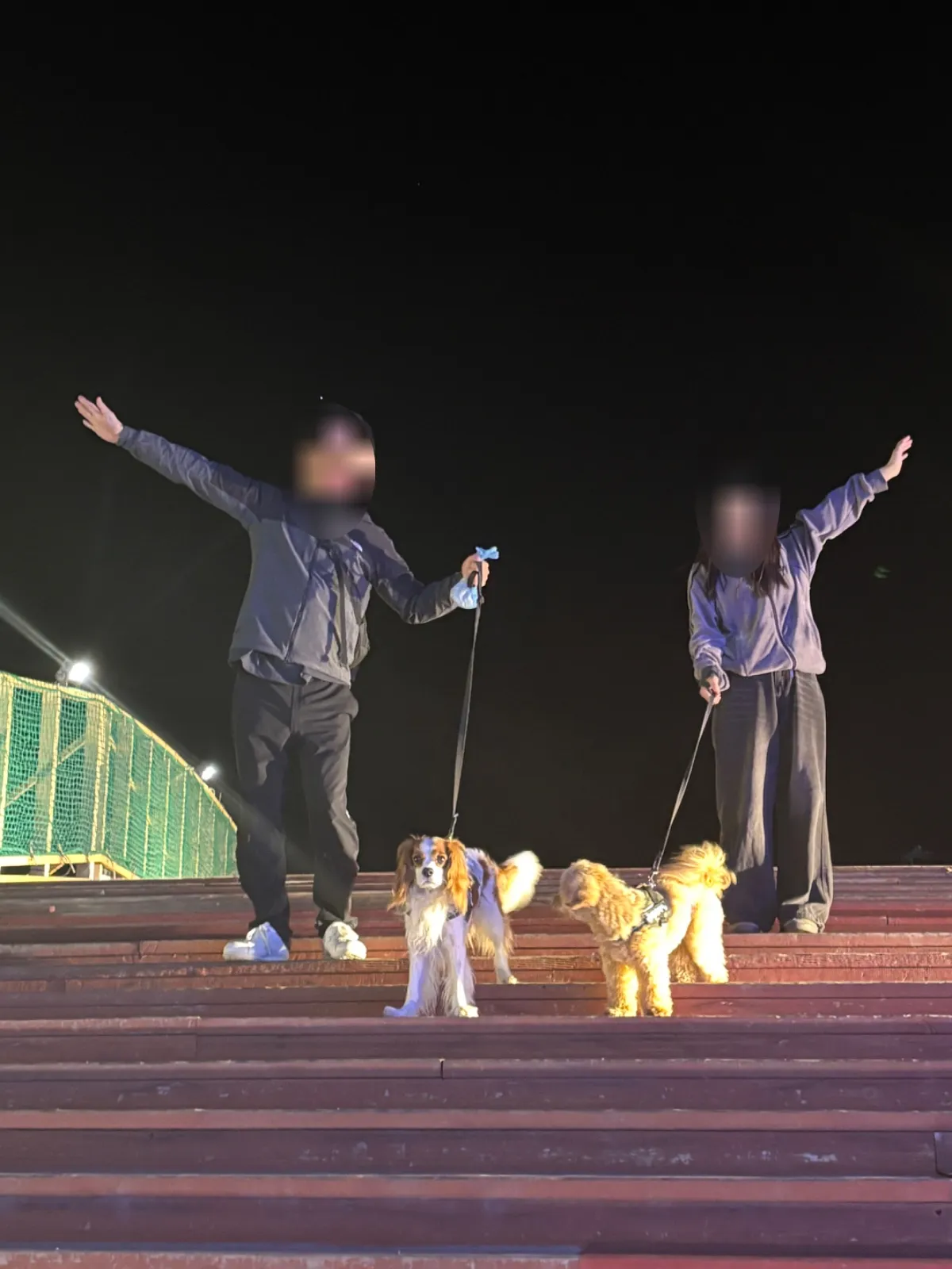 写真5