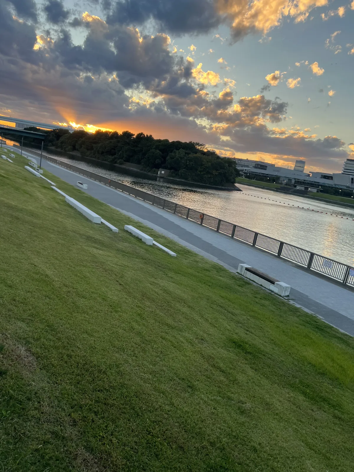 写真2